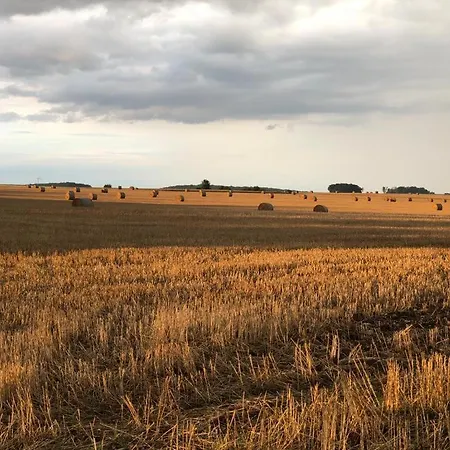 בית אירוח Stadtmauer