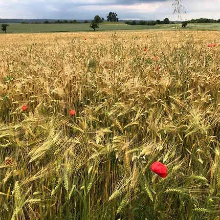 בית אירוח Stadtmauer *